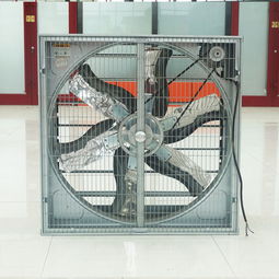 負壓風機在工業(yè)養(yǎng)殖中的關鍵作用 降溫換氣與環(huán)保設備解析